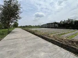 Dekat UII–Kavling Strategis   Cocok untuk Rumah, Villa & Homestay
