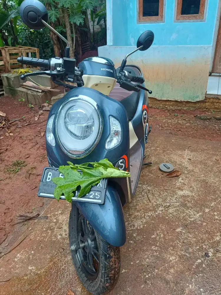 Honda Scoopy 2020 Fashion Blue