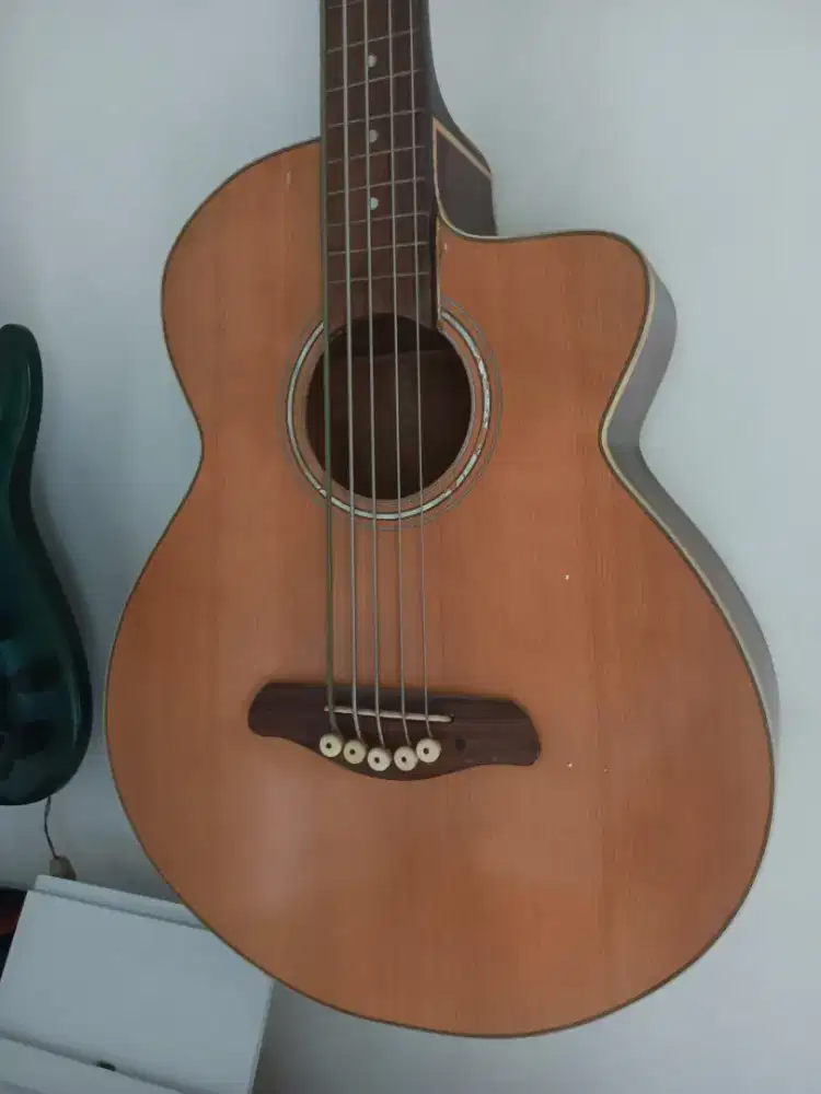 Custom Bass 5 strings - acoustic electric