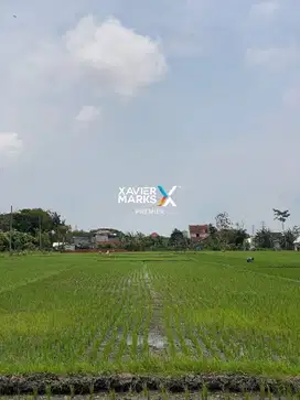 Dijual Tanah Lahan Pertanian Sawah Harga Miring