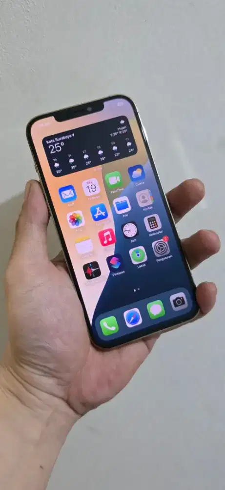 IPhone 12 Pro Max 512gb Wifi Only