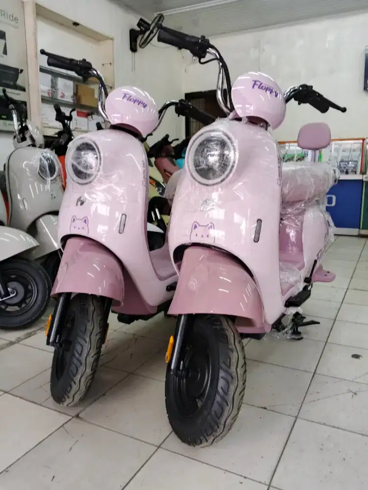 Sepeda listrik nuv floppy harga promo
