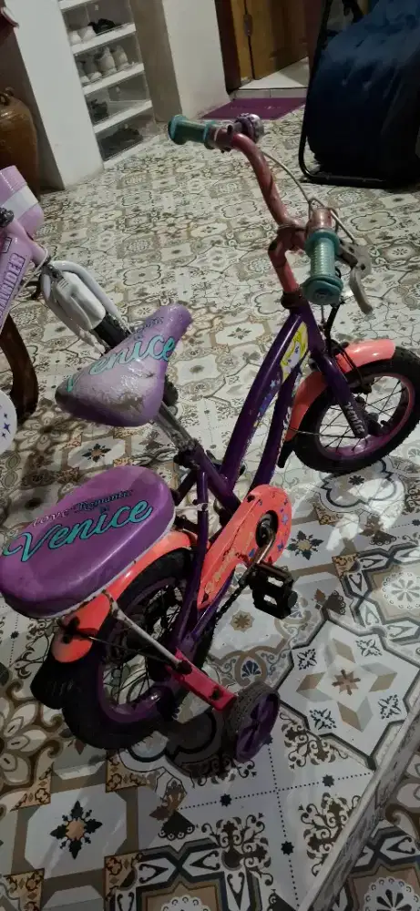 Sepeda Anak Merk venice