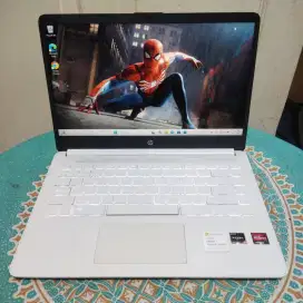HP 14s Ryzen 5 5500 512GB/8GB IPS Backlit win 11