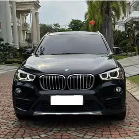 X1 Xdrive panoramic 2018