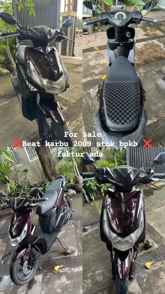 Beat karbu 2009