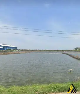 Dijual Lahan Strategis Industri Lokasi Kaliwungu,Kendal Luas 6 Ha