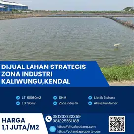 Dijual Lahan Strategis Zona Industri Lokasi Kaliwungu,Kendal Luas 6 Ha