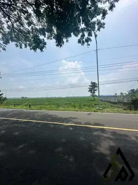 Dijual tanah industri lokasi Caruban Madiun, Luas 15 Ha Harga Murah