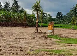Tanah Kavling Pejeng Kelod Bali Zona Kuning