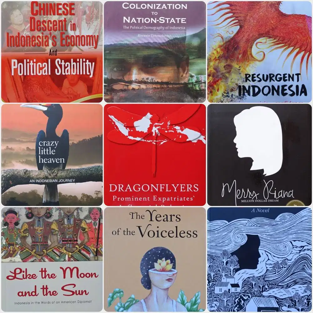 buku tentang indonesia, books on Indonesia, novel, The Question of Red