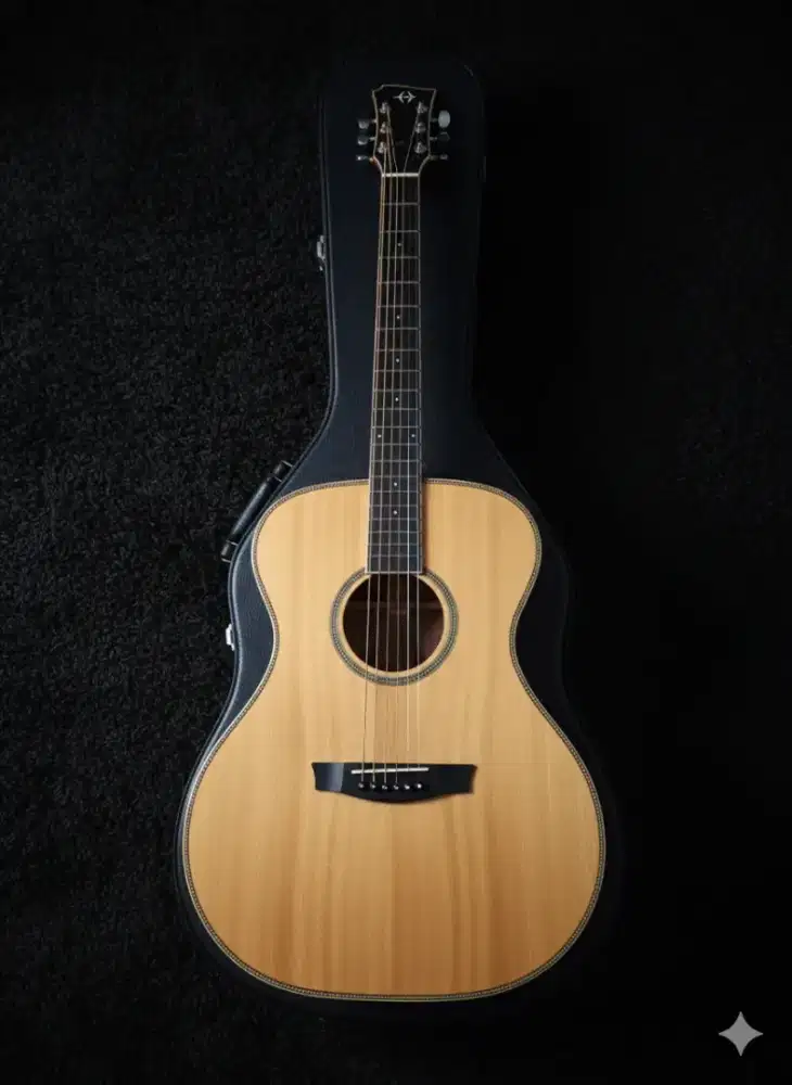 Gitar healer all solid ho 5000