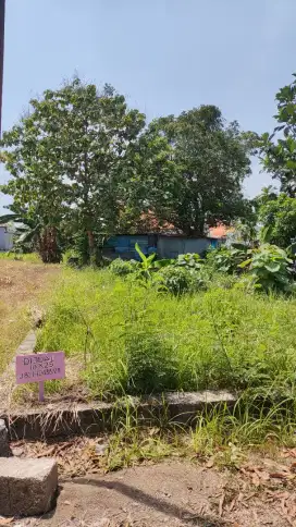 DIJUAL TANAH DOMAS MENGANTI