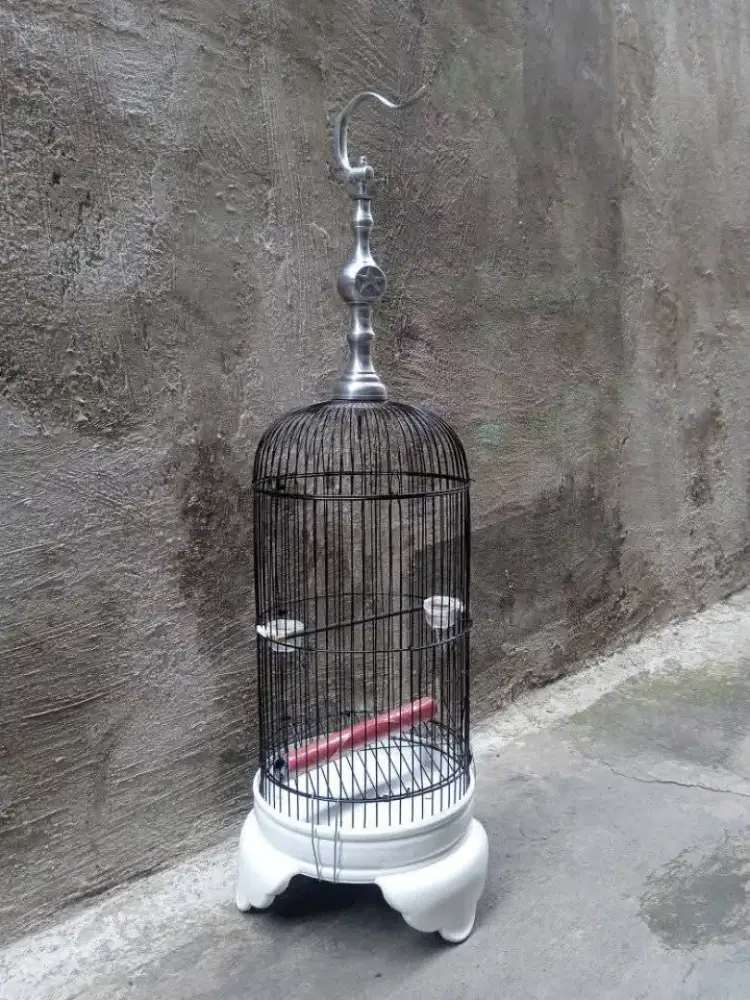 Helopet kandang burcil