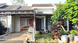 Rumah dengan lingkungan asri