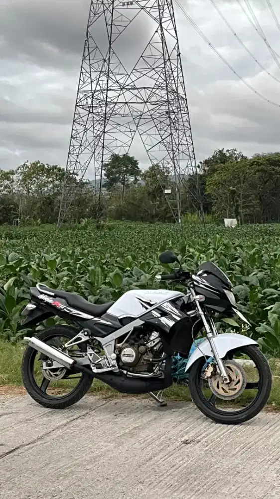 Ninja r 2011 albino