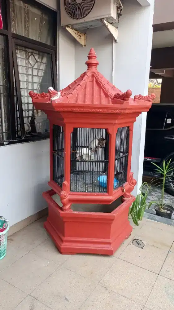 Kandang ayam beton