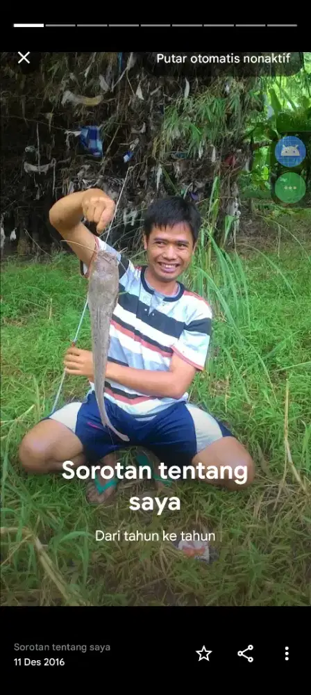 Ikan hidup Hiasan Akuarium dan lele untuk lauk pauk