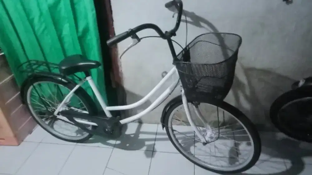 sepeda mini 24