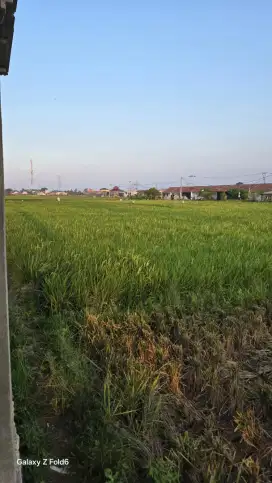 MILIKI SEGERA TANAH  YANG HANYA 10 MENIT DARI GERBANG EXIT TOL GABUS