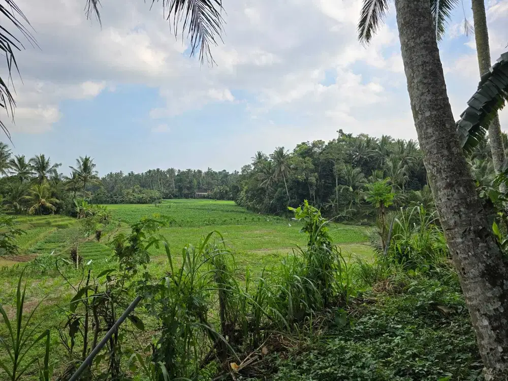 Dijual tanah cantik view sawah di tababan bali yellow zona