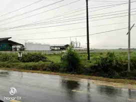 tanah murah area industri tepi jalan utama sambong Blora