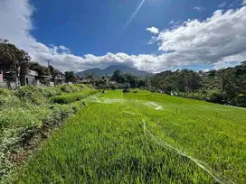 Dijual Cepat Tanah di Ujungberung cocok Untuk Perumahan
