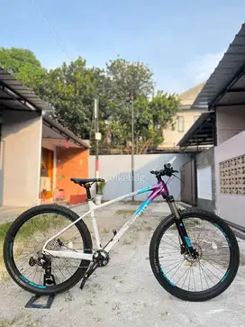 Polygon Xtrada 7 2023 Like New L 27,5