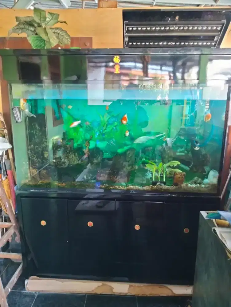Di Jual Aquarium dengan Lemari
