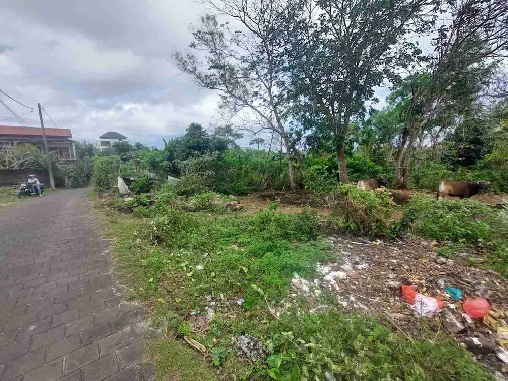 dijual tanah komersil pecatu