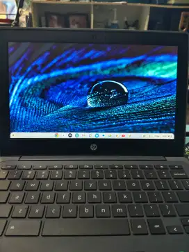laptop HP Chromebook 11 G8 EE