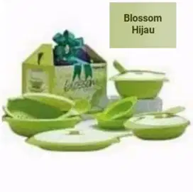 Blossom 1 set merk tupperware