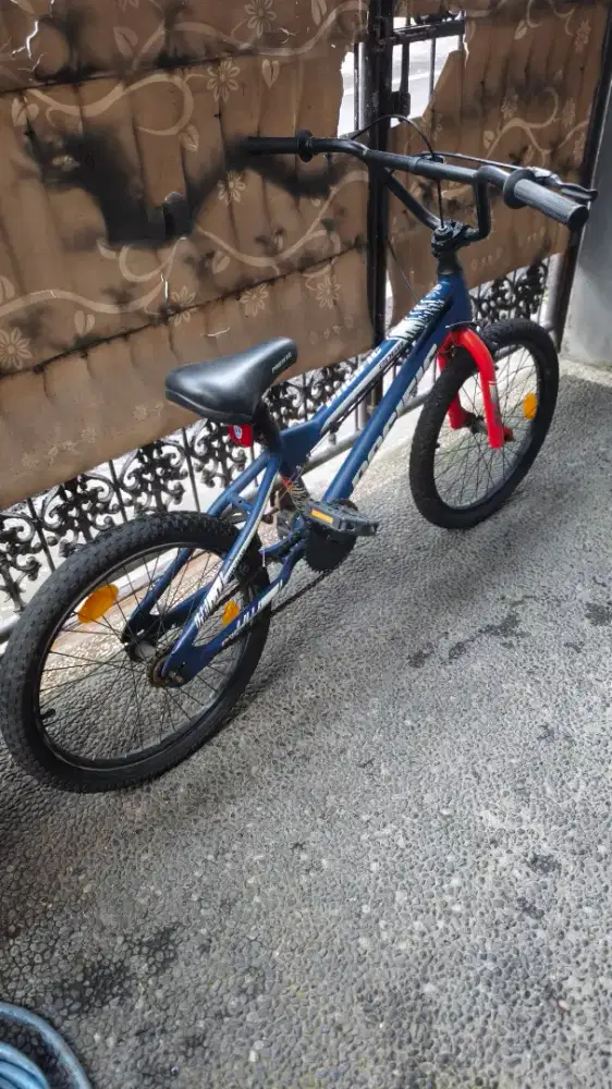 Jual Sepeda Anak Picific BMX 20in