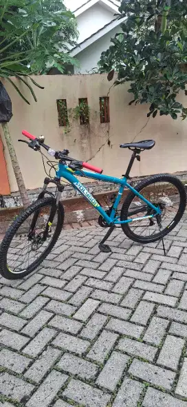 MTB Polygon Monarch 4
