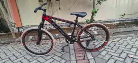 Mtb Evergreen Hybrid