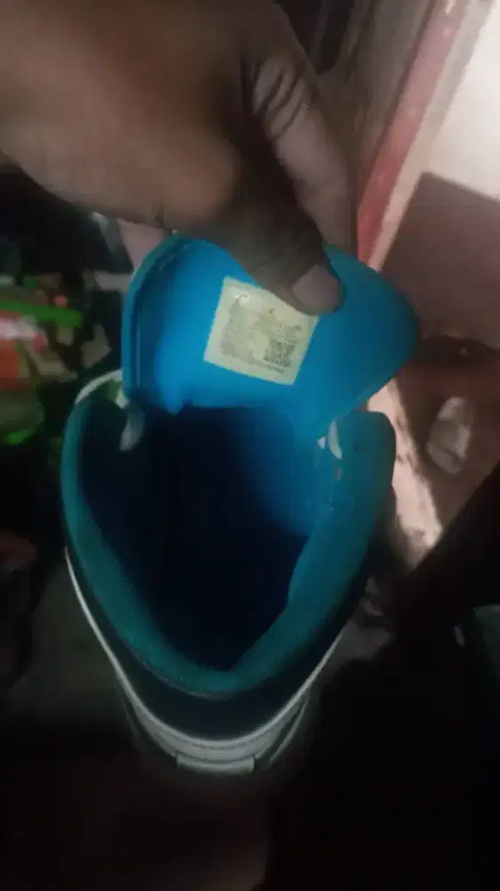 Sepatu air jordan