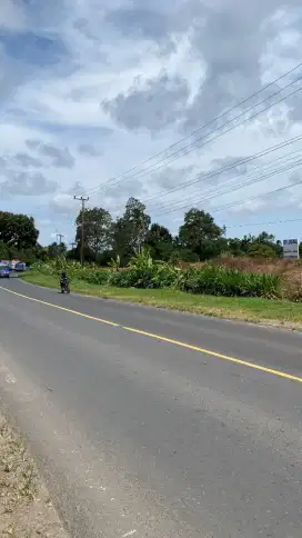 Tanah 5 Hektar - Bandar Dalam, Lampung Selatan