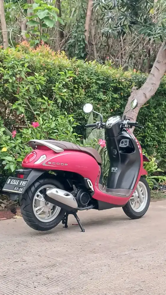 GRESS New Scoopy Staylish thn 2021 DP 700rb