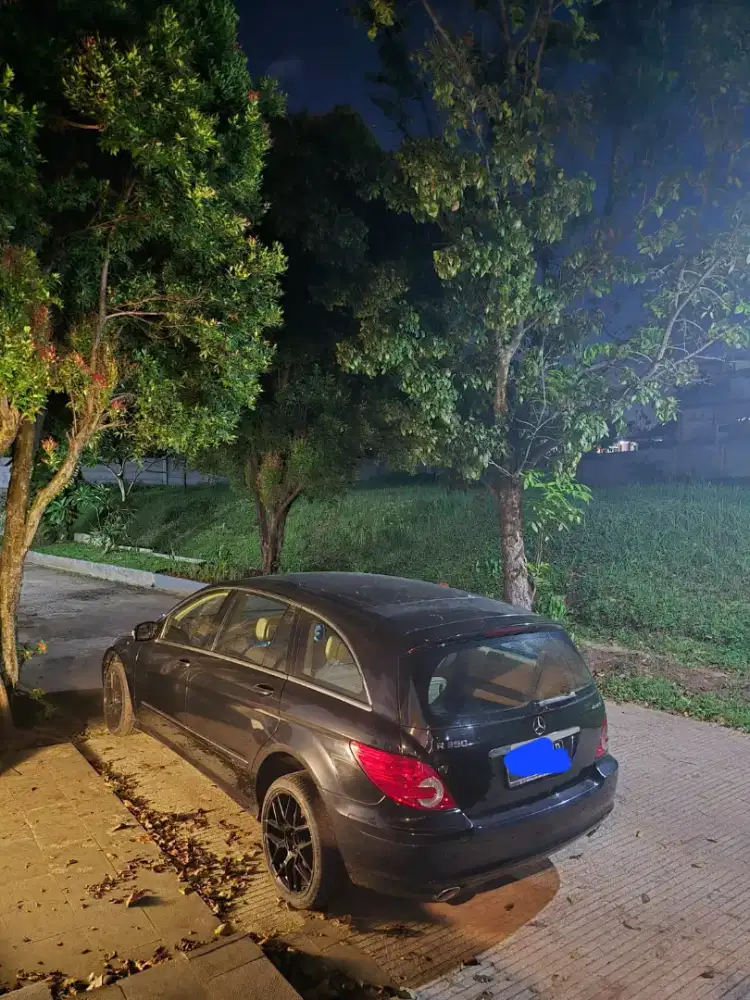 Mercy w251 R350 Panoramic