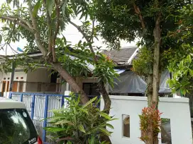 Disewakan Rumah Tahunan untuk mahasiswa/i (nego)