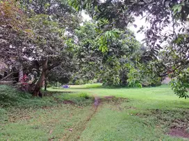 Dijual tanah Di Jalan Raya Alternatif Cibubur - Jawa Barat.