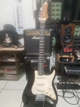 Washburn Shadow Series 90's