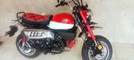 Monkey motor sultan