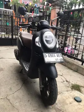 honda scoopy prestige 2024