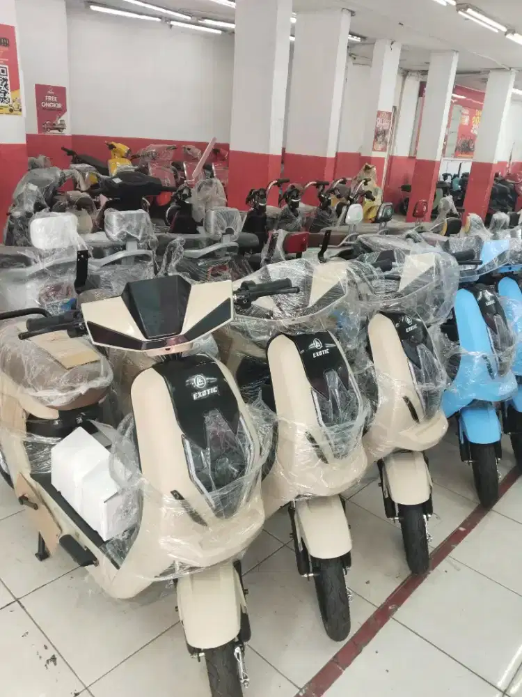Exotic x655 bergaransi murah