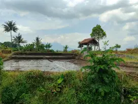 JUAL SAWAH CEPAT