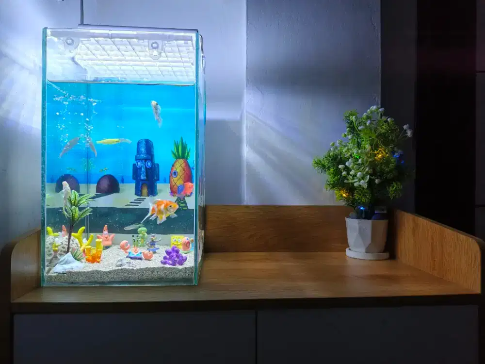 Aquarium mini 35x25