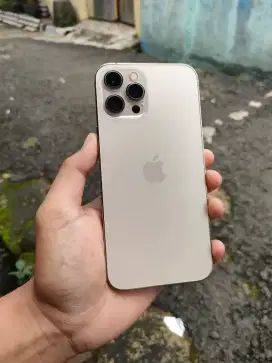 iphone 12promax 128gb inter