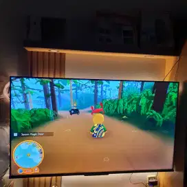 Tv Polytron 55 Inc.