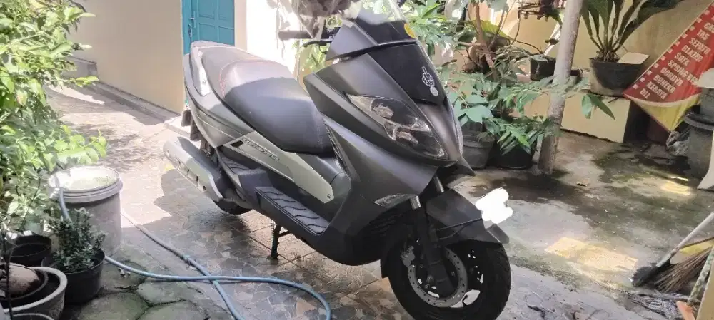 Benelli zafferano